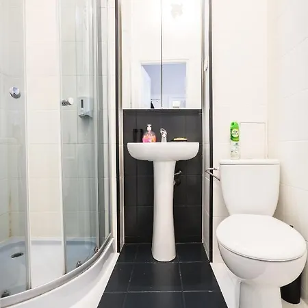 Elegant Copernicus *